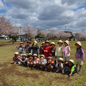 Kinderクラスと桜